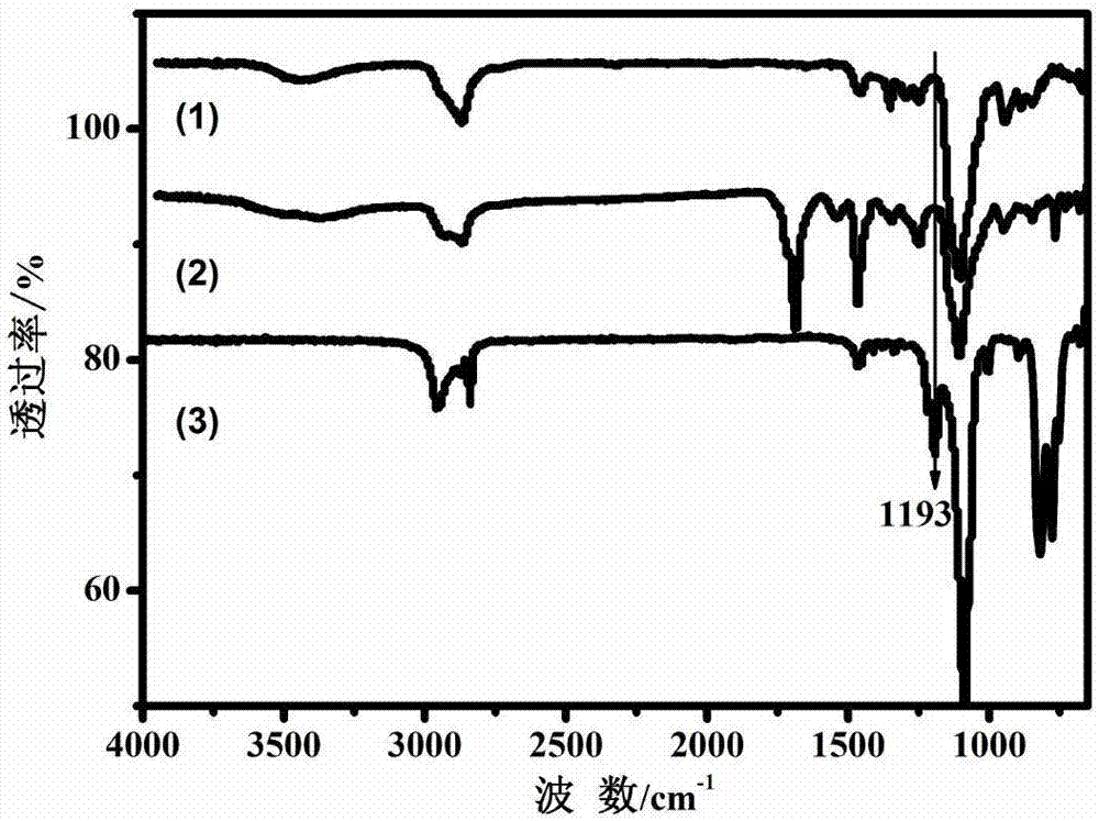 Solid polymer electrolyte, preparation method thereof, composite positive pole and solid-state lithium-ion battery