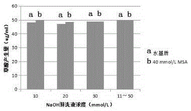 Sample pretreatment method for simultaneous determination of oxalic acid, succinic acid, sulfuric acid and phosphate radicals in regenerated tobacco leaves through ion chromatography