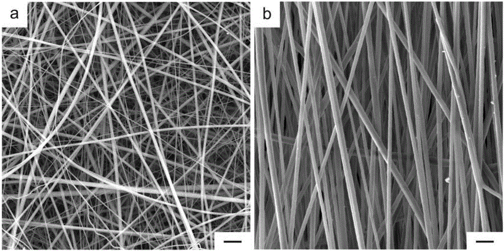 Bionical type absorbable dura mater patch and preparation method and application thereof