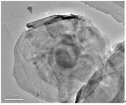 Preparation method and application of photoelectrochemical aptamer sensing electrode