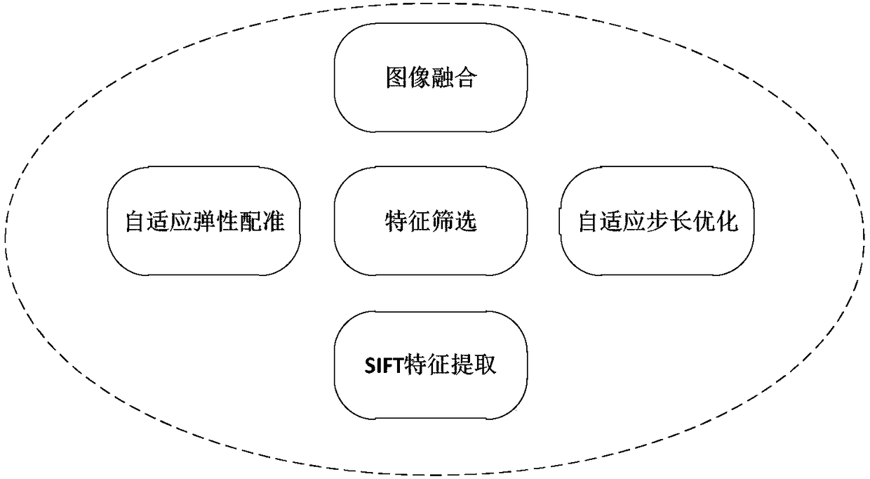 Self-adaptive registration method and self-adaptive registration system for biological imaging