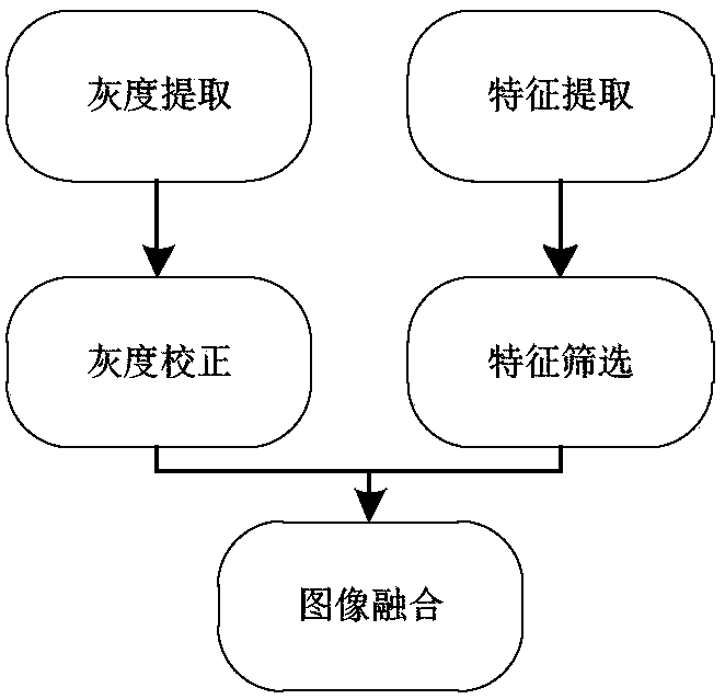 Self-adaptive registration method and self-adaptive registration system for biological imaging