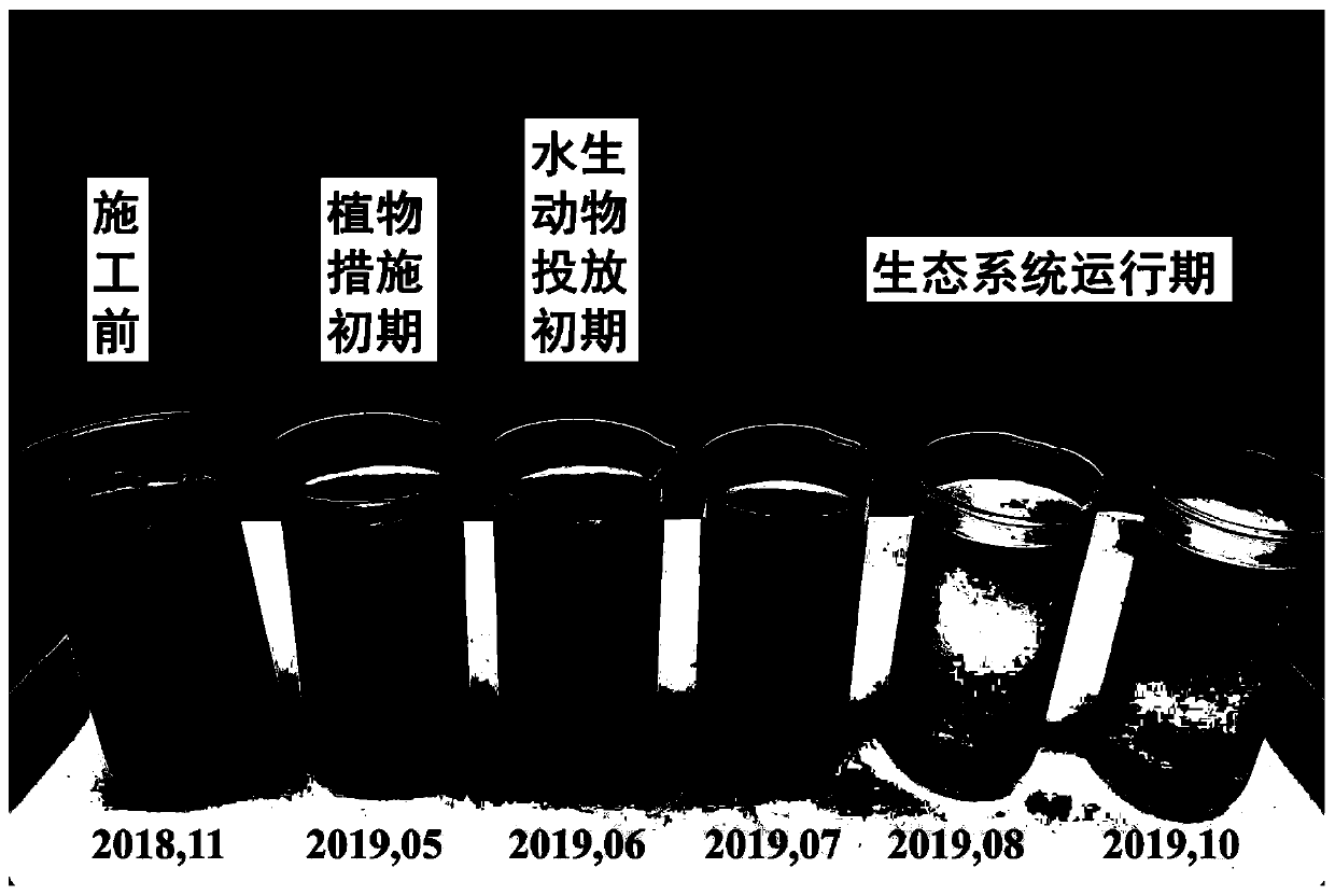 Village ecological landscape pond system for resource utilization of nitrogen and phosphorus in water body