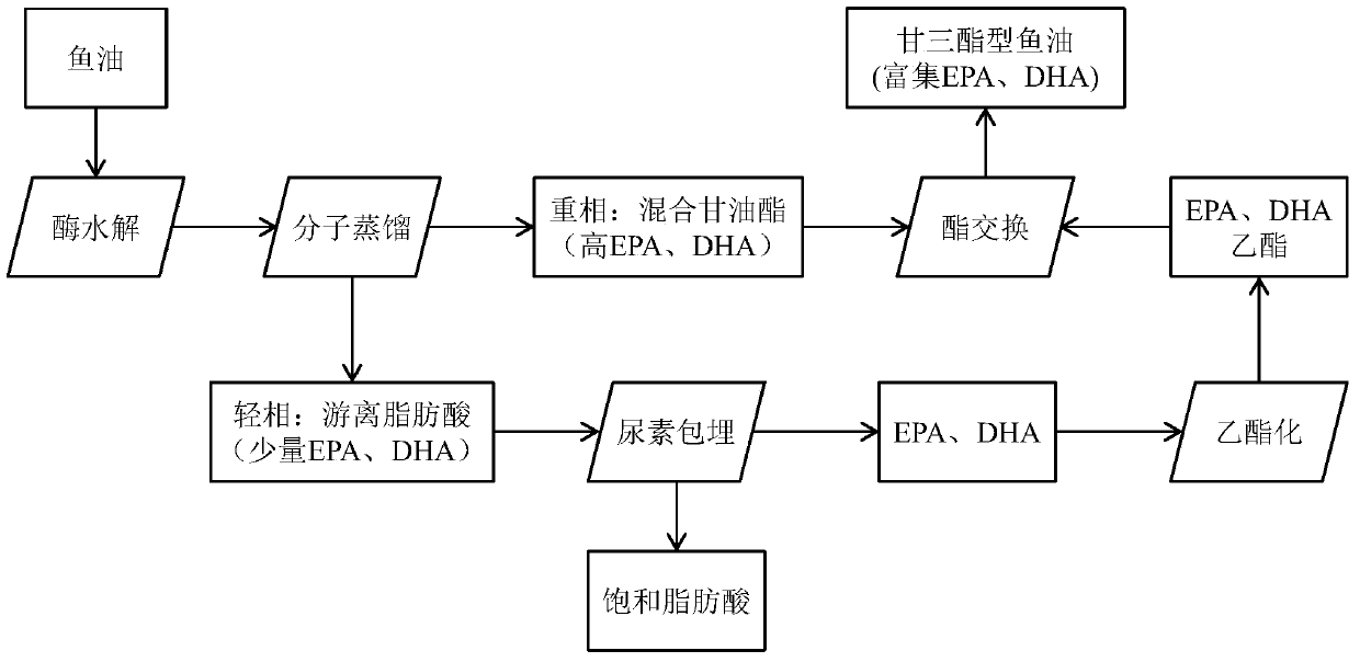 A method for preparing glyceride rich in epa and dha by enzymatic catalysis