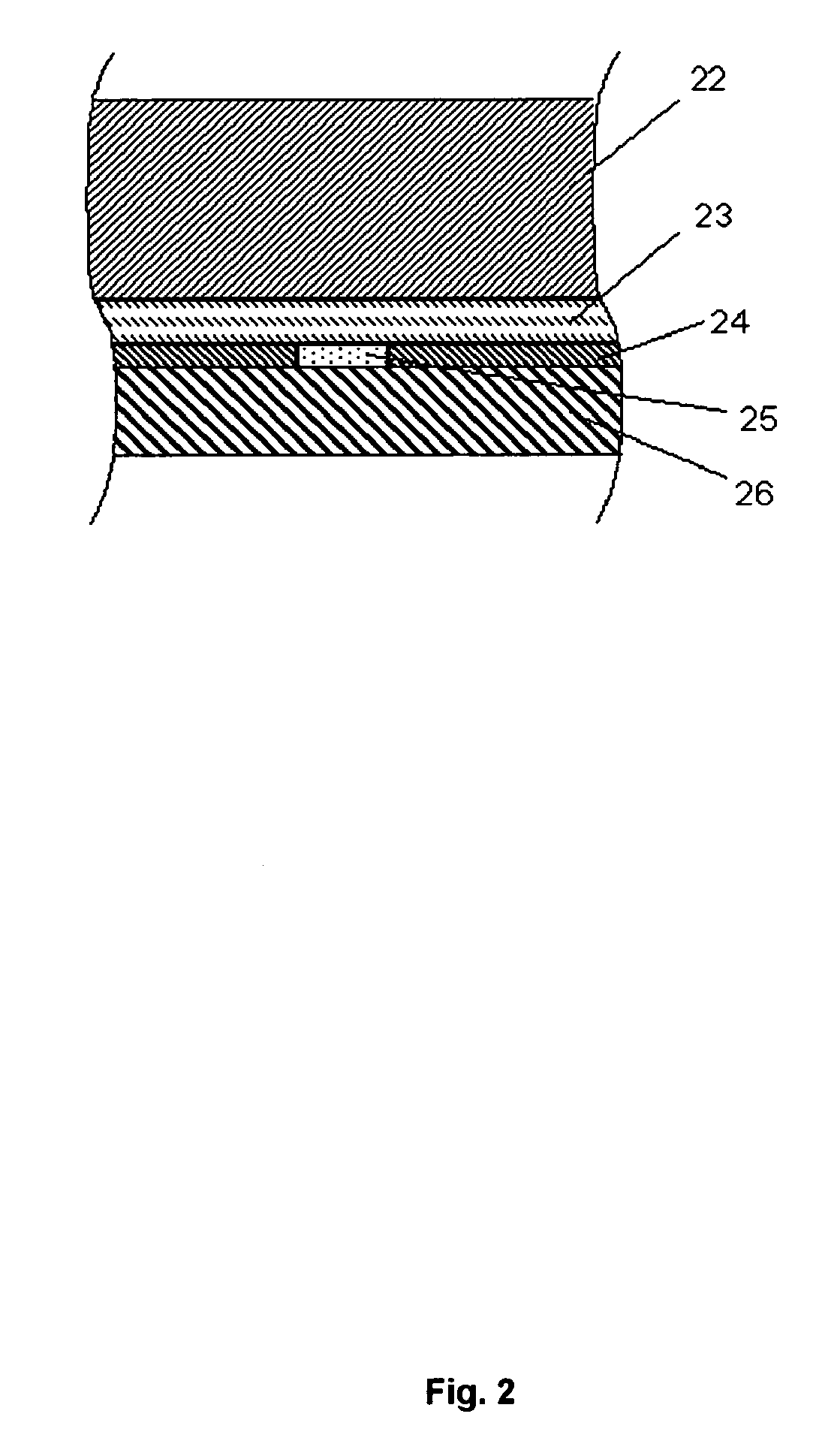 Enzyme sensor including a water-containing spacer layer