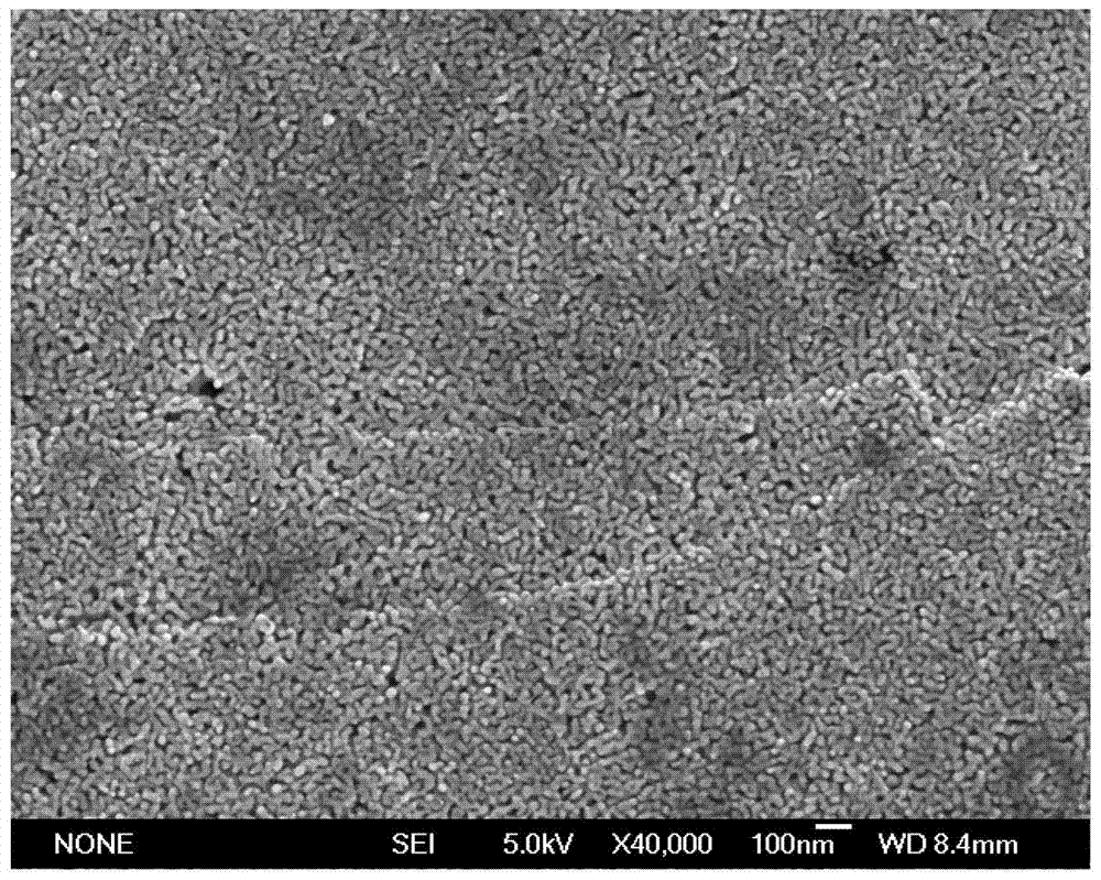 Immobilized cutinase and preparation method and application thereof in removal of phthalic acid esters in water