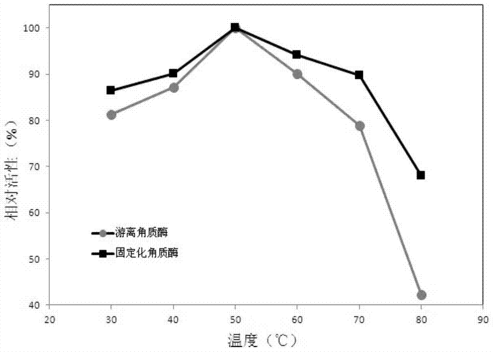 Immobilized cutinase and preparation method and application thereof in removal of phthalic acid esters in water