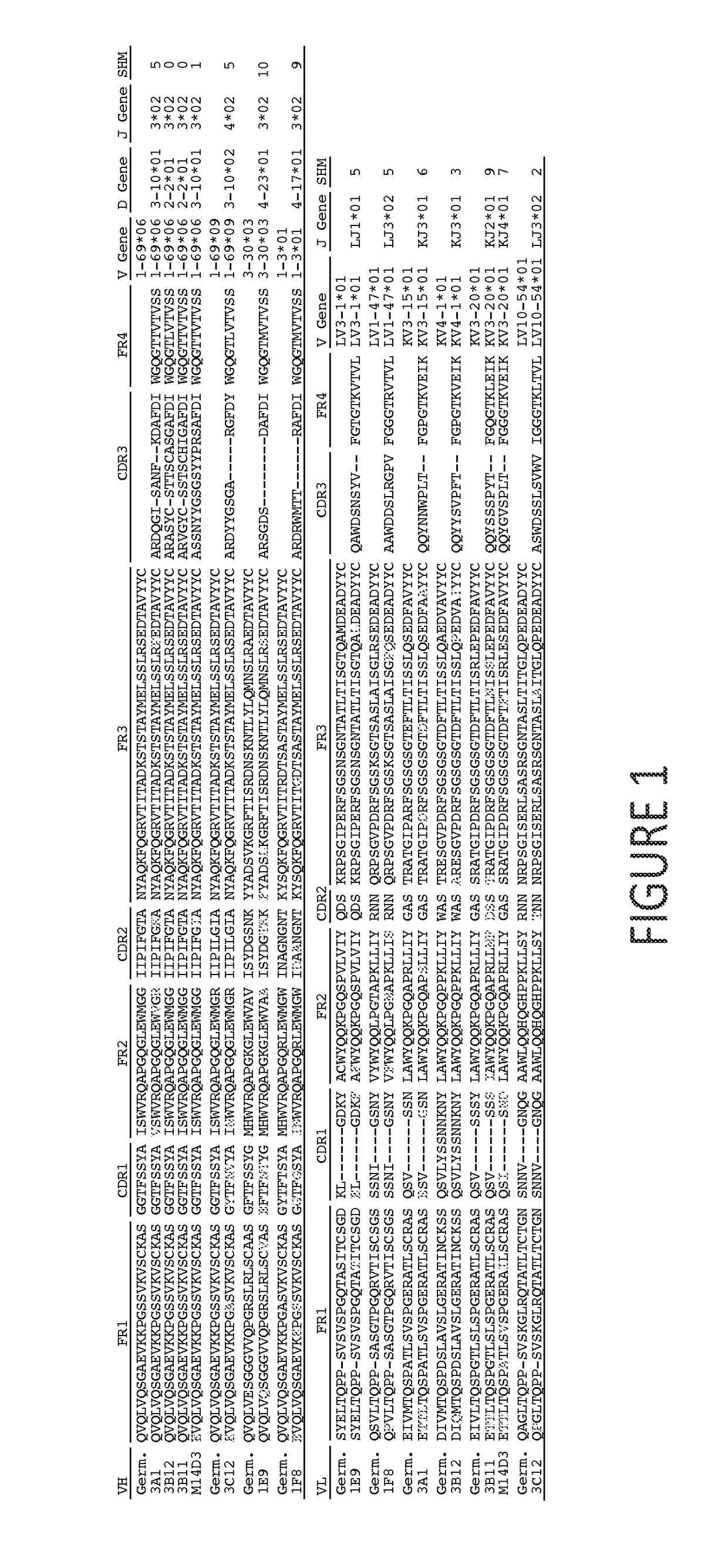 Middle east respiratory syndrome coronavirus neutralizing antibodies and methods of use thereof