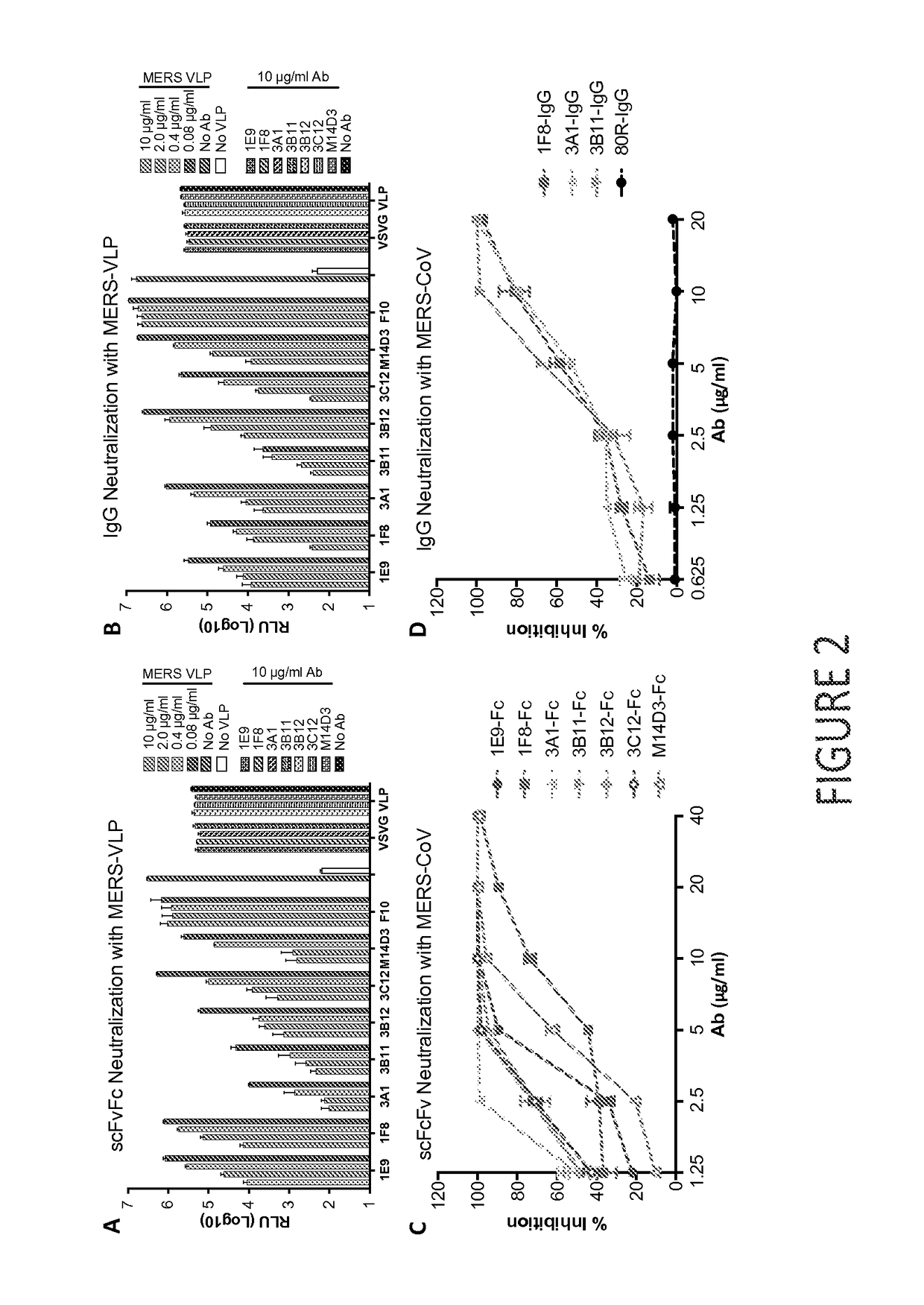 Middle east respiratory syndrome coronavirus neutralizing antibodies and methods of use thereof