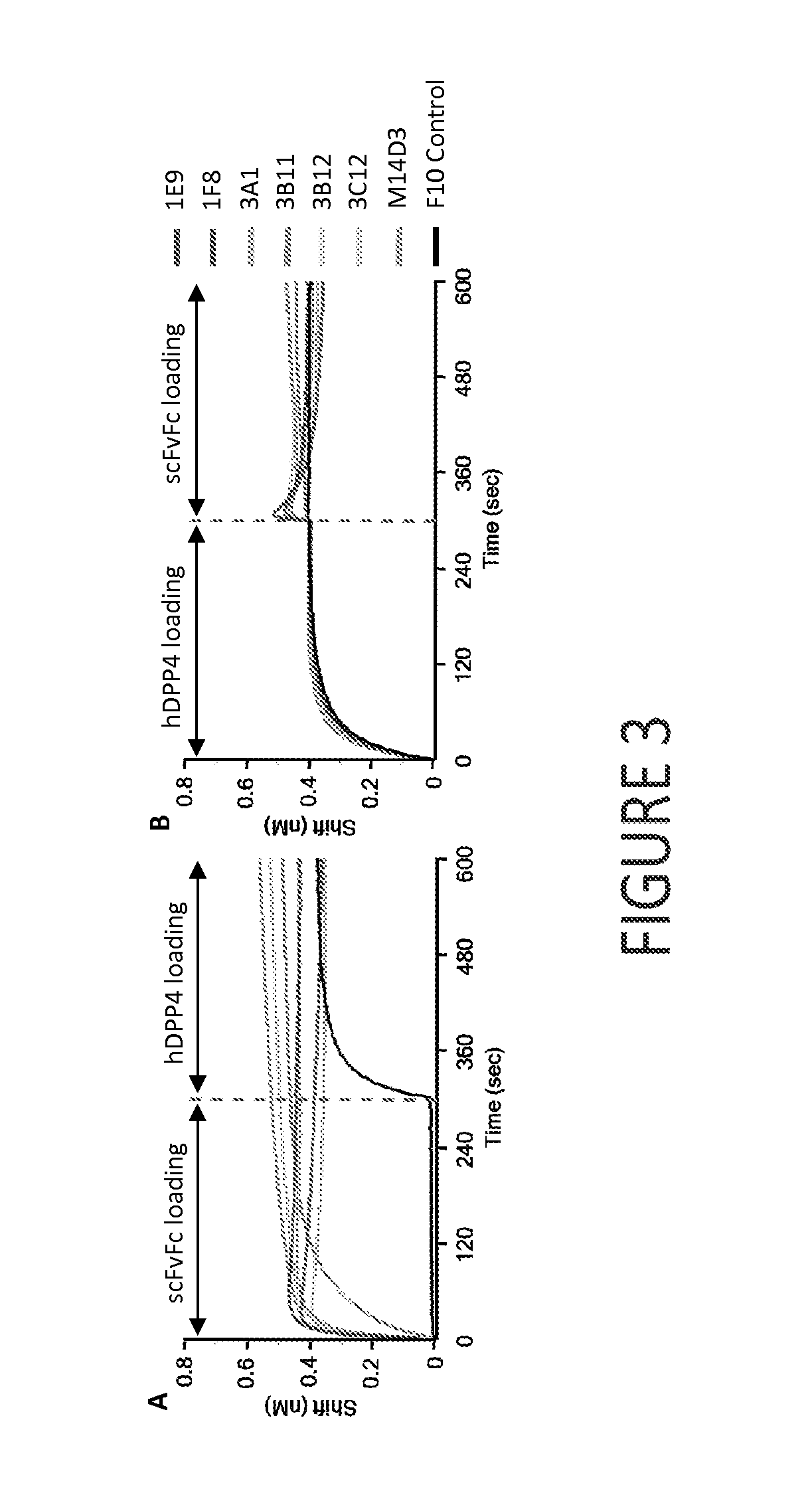 Middle east respiratory syndrome coronavirus neutralizing antibodies and methods of use thereof