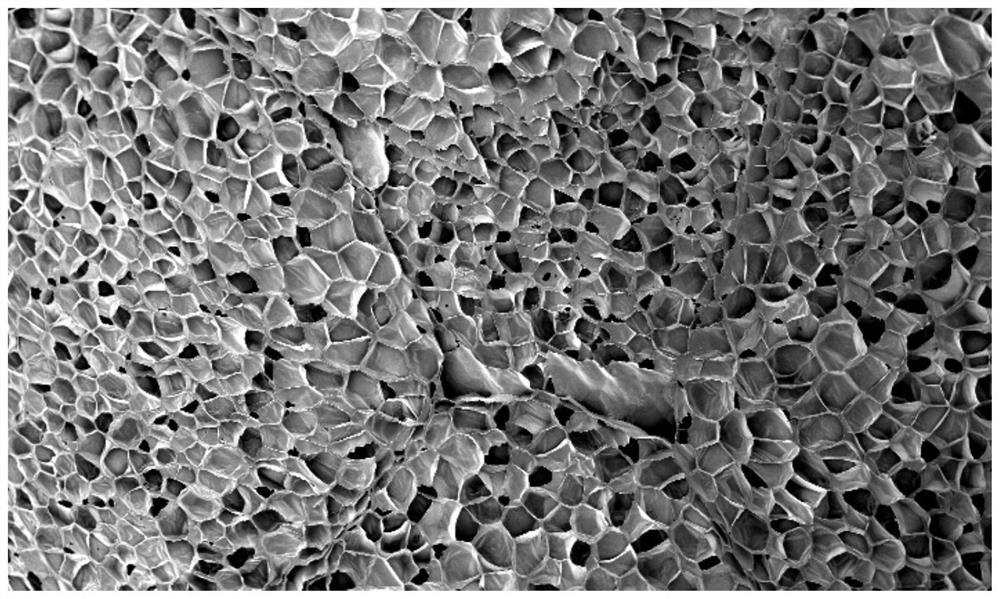 Polyethylene resin composition, polyethylene resin pellets, polyethylene foam beads, preparation method and molded body thereof