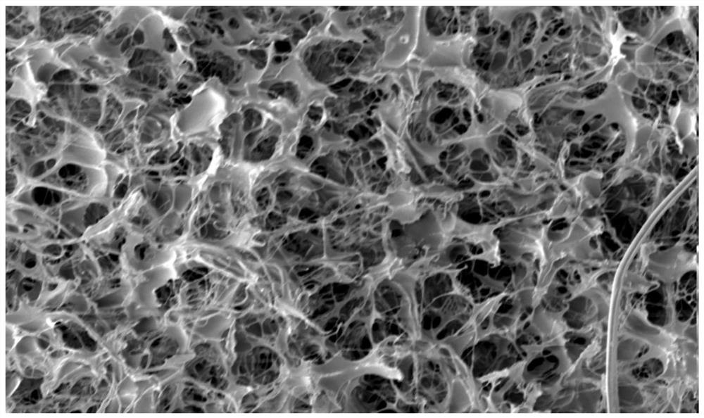 Polyethylene resin composition, polyethylene resin pellets, polyethylene foam beads, preparation method and molded body thereof