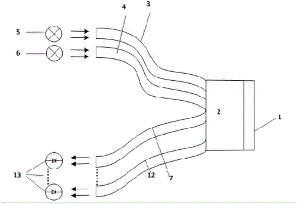 Optical fiber type ice binding state sensor