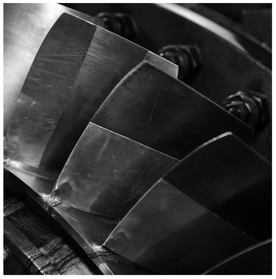 Topological optimization method for constraining and damping blades of aeroengine