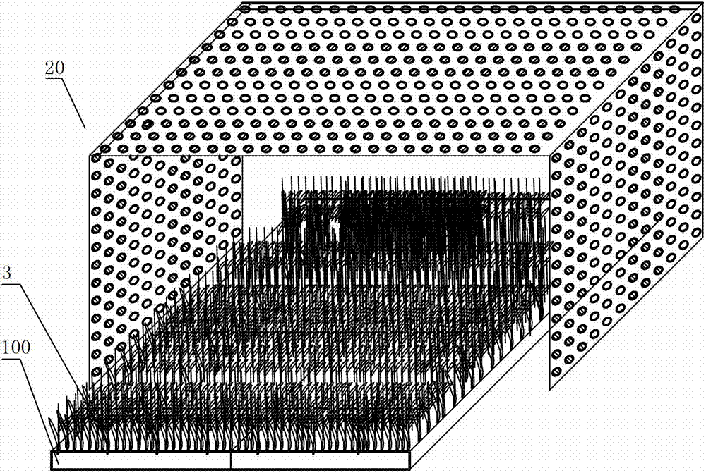 Method for controlling rice seedling growth by optical spectrum, and raising spectrum regulating appliance and equipment