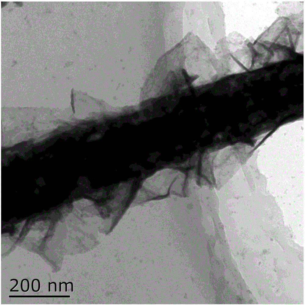 Electrocatalyst with cobalt-based multi-stage nano-composite structure for oxygen production by electrolysis of water and preparation method of electrocatalyst