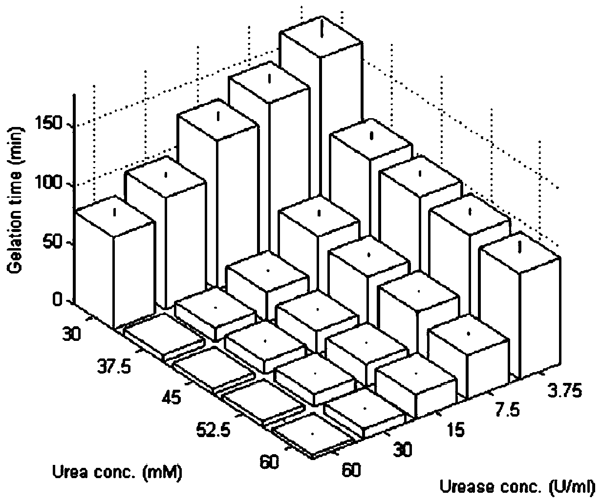 Preparation method of chitosan hydrogel