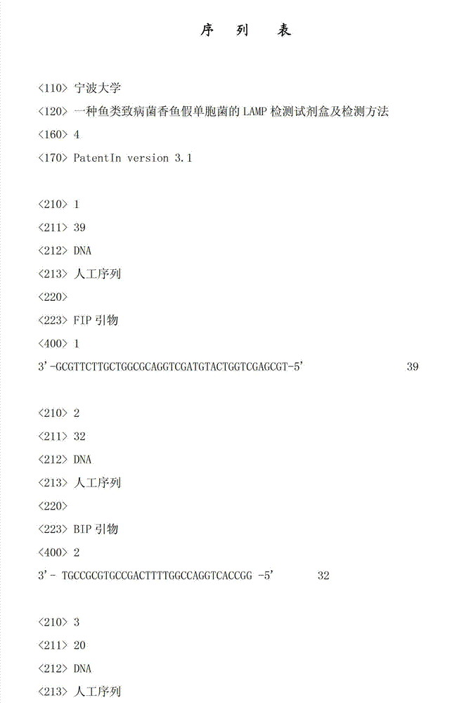 LAMP (loop-mediated isothermal amplification) detection kit for fish pathogen pseudomonad plecoglossicida and detection method