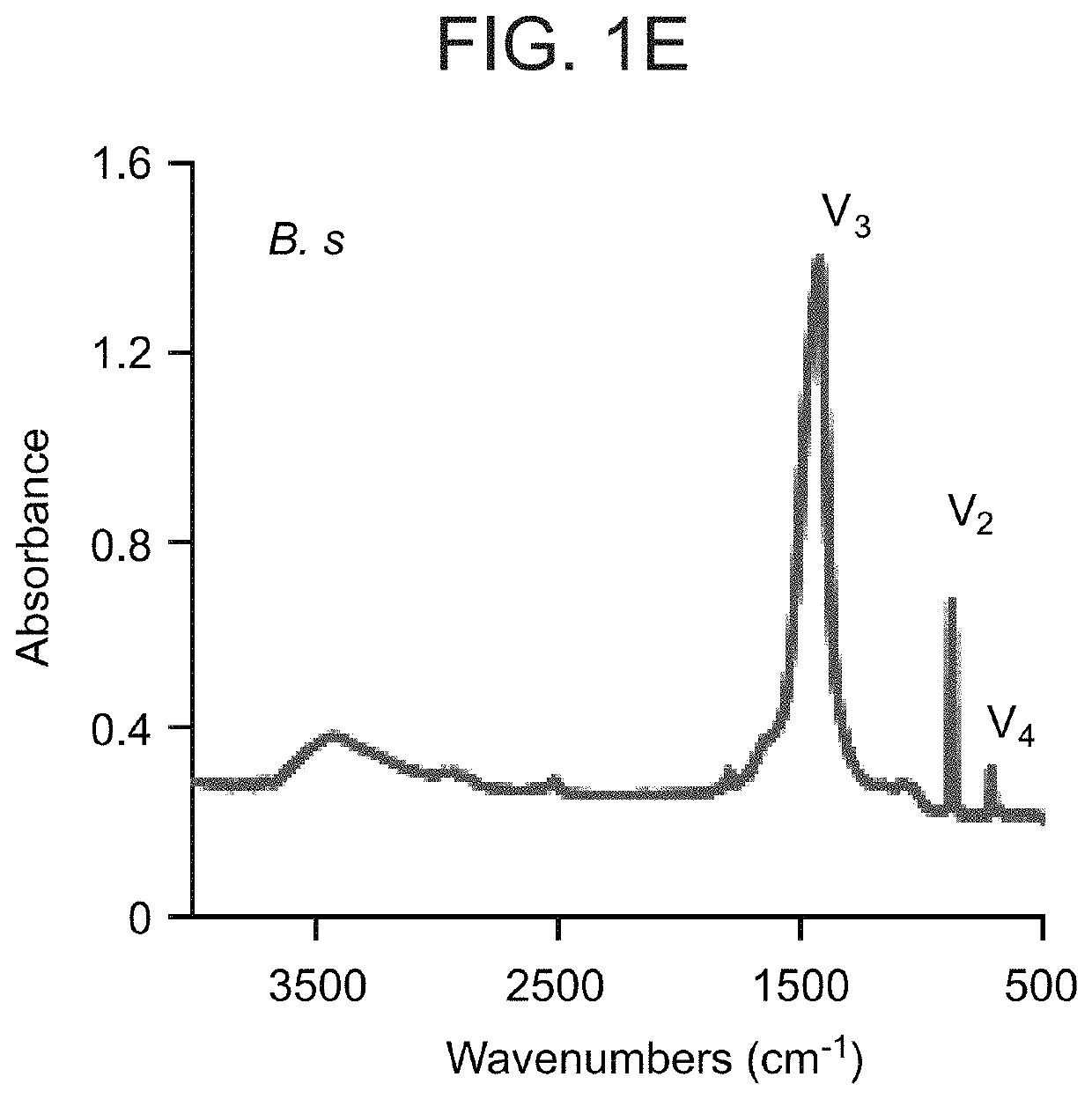 Methods of disrupting a biofilm and/or preventing formation of same