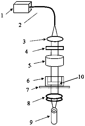 Measurement method and detection device of body fluid drug concentration based on surface enhanced Raman spectrum