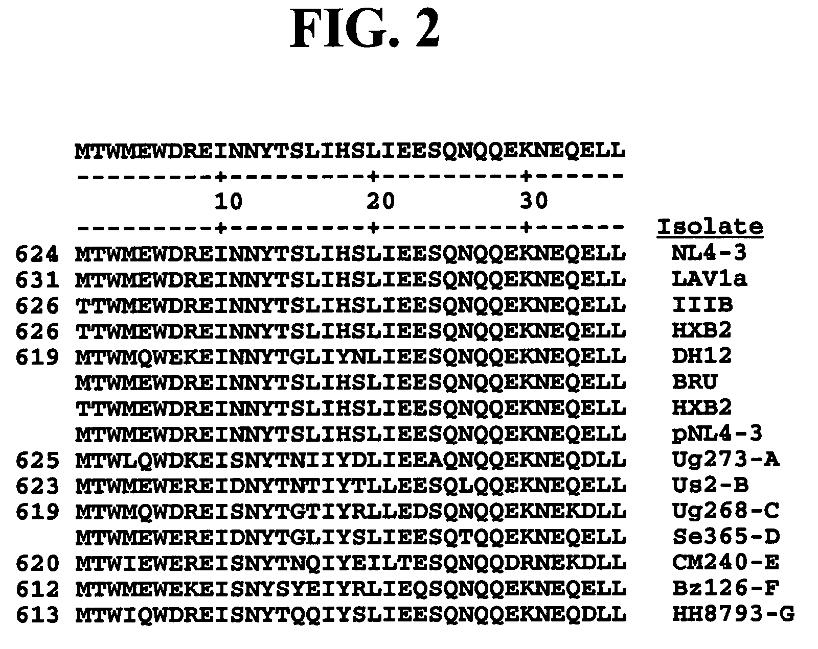 HIV fusion inhibitor peptides with improved biological properties