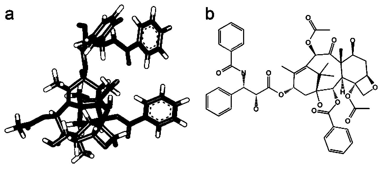 Oligopeptide used for increasing solubilities of paclitaxel or similar medicines based on paclitaxel structure