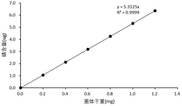 A method for measuring the amount of bacteria in sodium alginate microcapsules