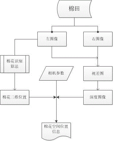 Cotton identifying and positioning method based on binocular camera