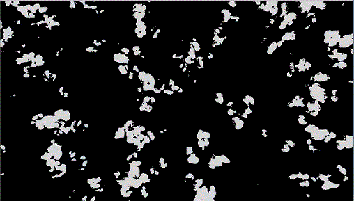 Cotton identifying and positioning method based on binocular camera