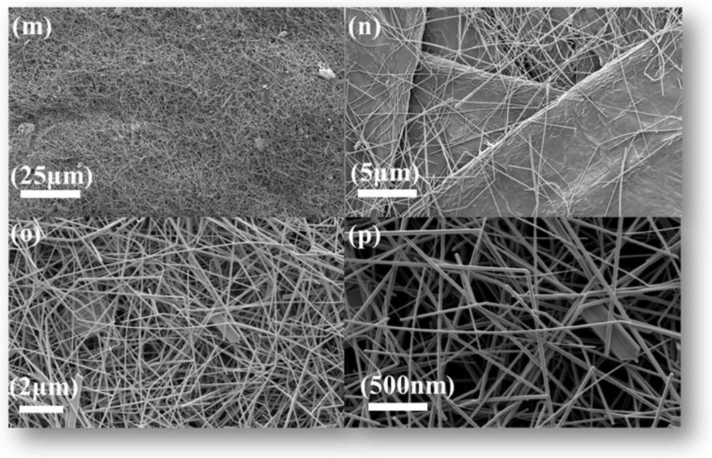 A flexible conductive paper loaded with silver nanowires and its preparation method and application