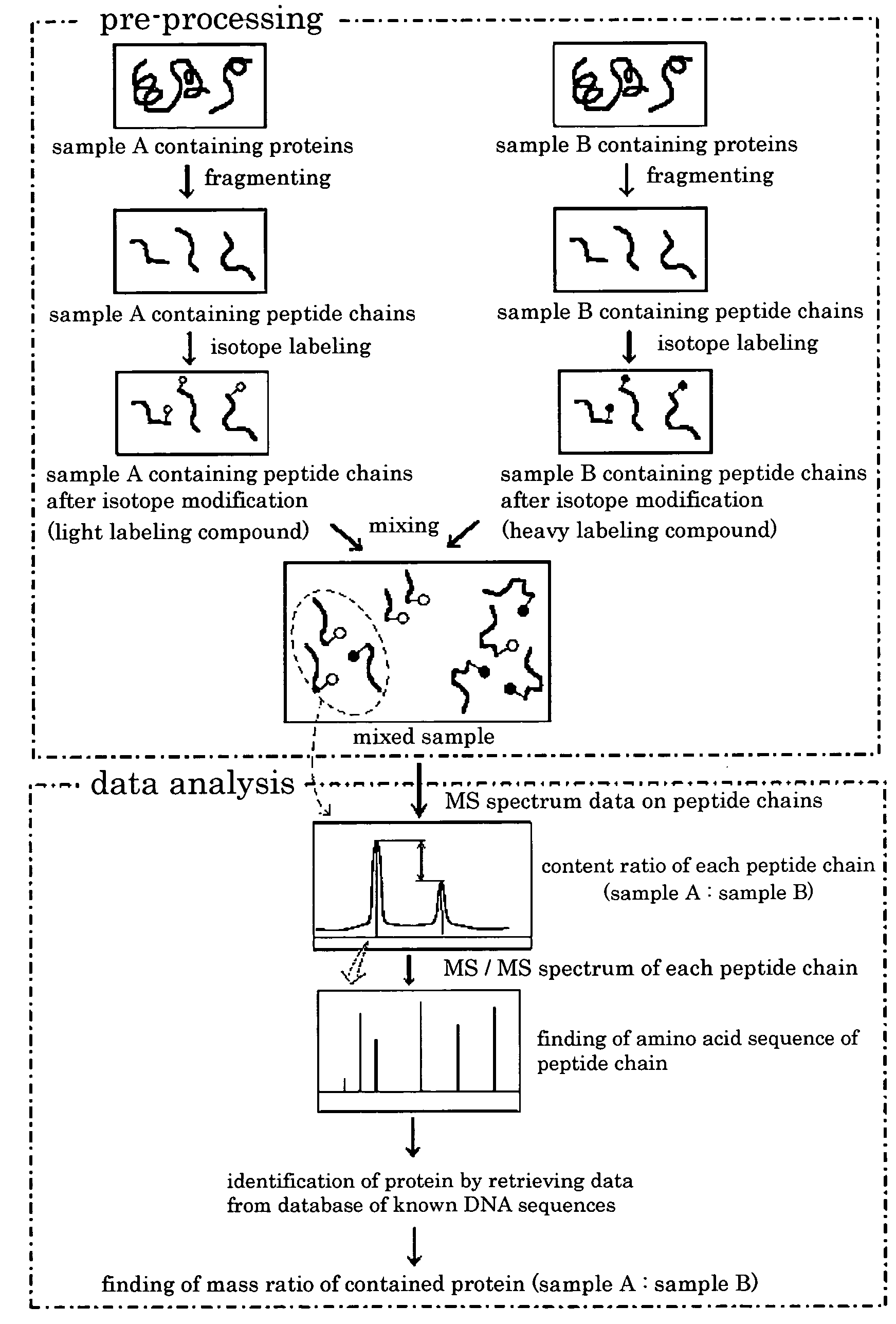 Method for Analyzing Proteins