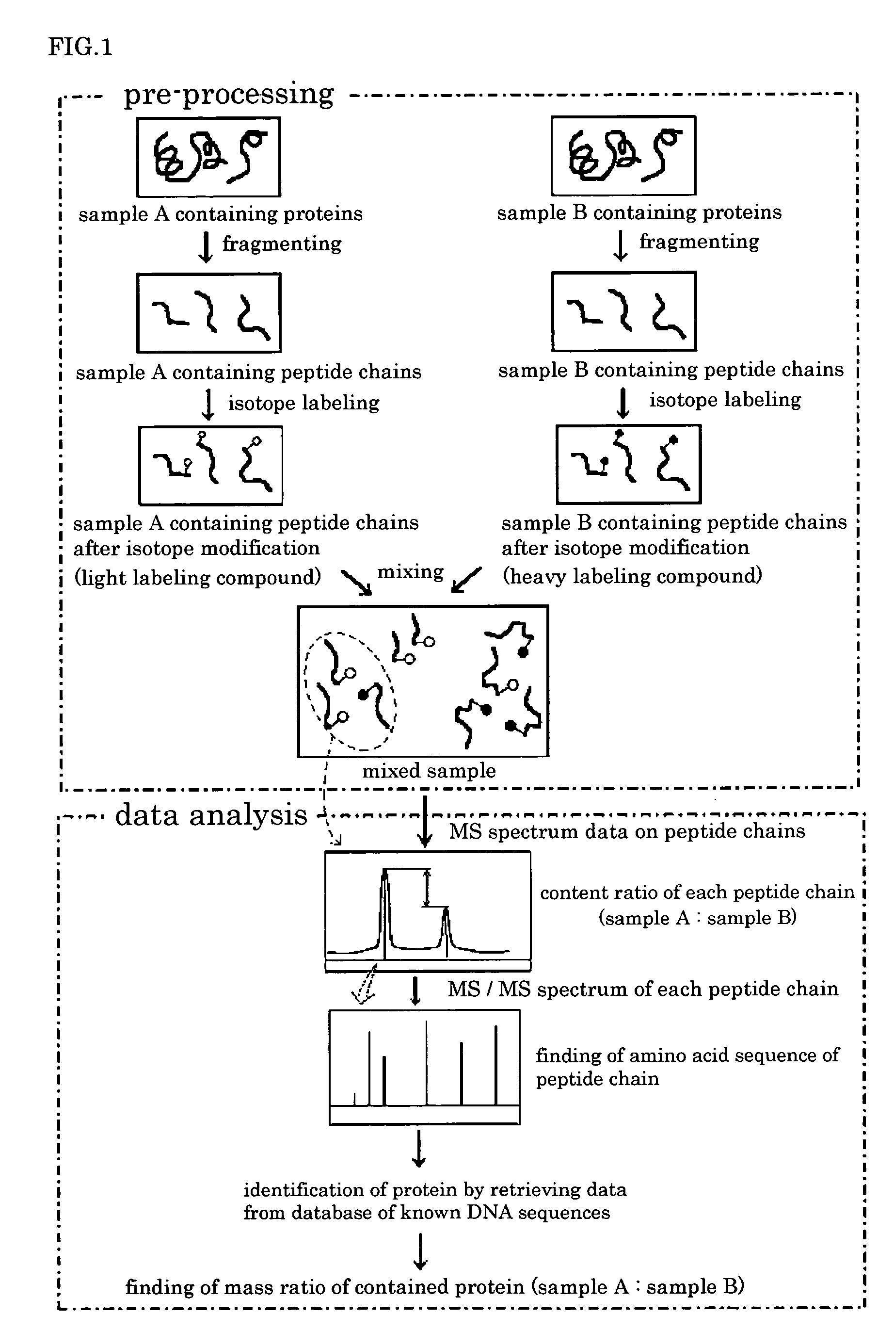 Method for Analyzing Proteins