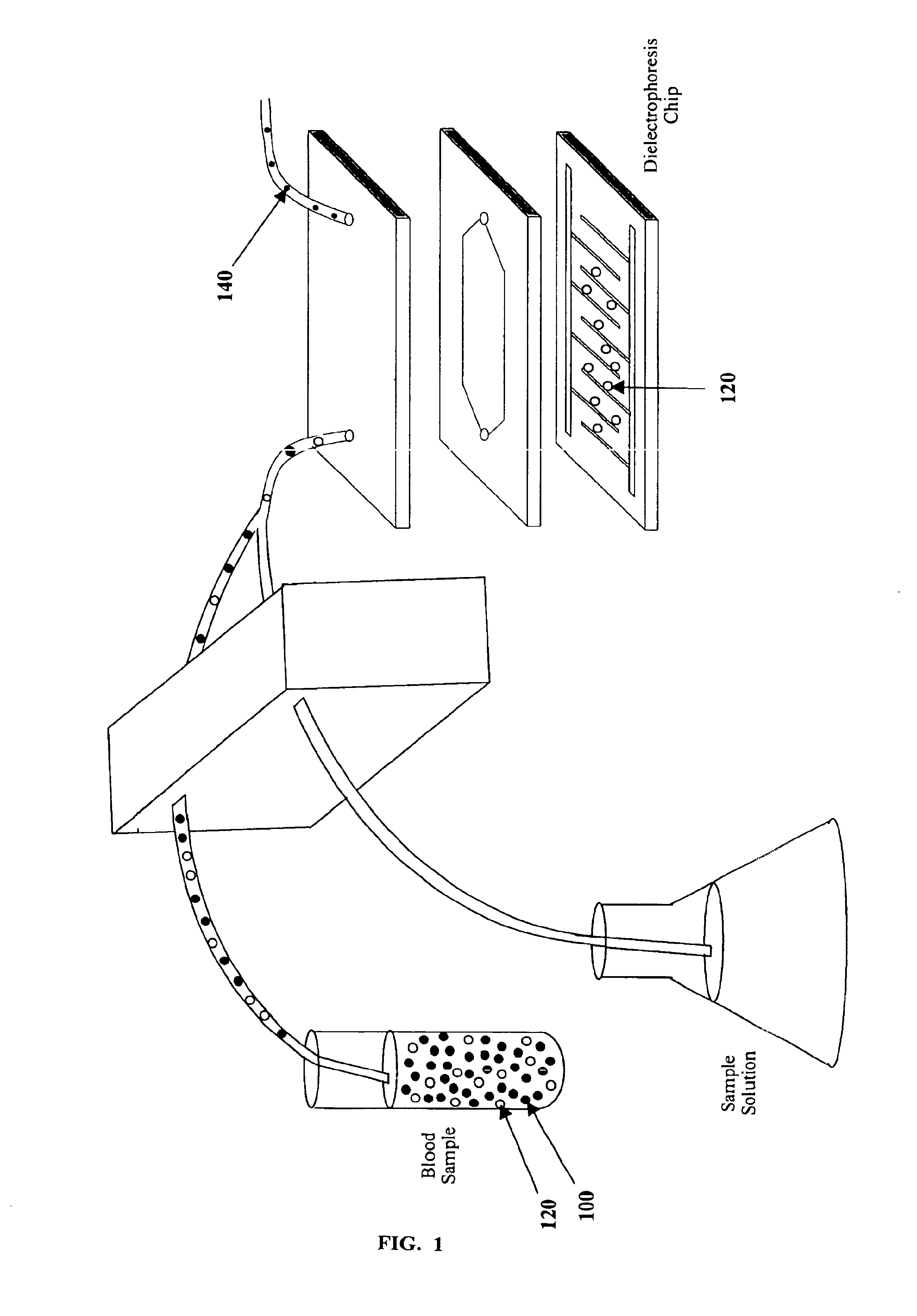 Compositions and methods for separation of moieties on chips