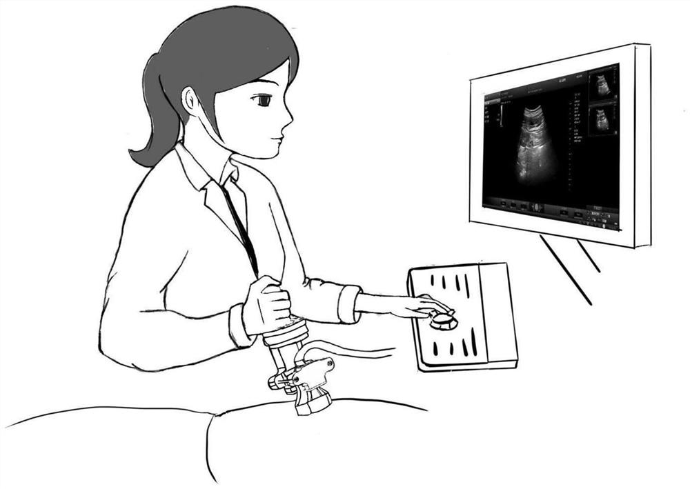 Human body ultrasonic detection real-time guide strategy based on deep learning