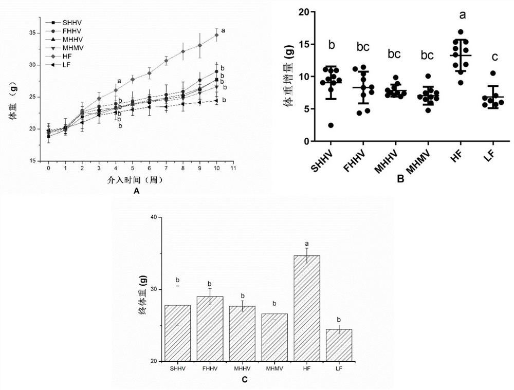 Application of composite konjaku flour in chewable tablets and composite konjaku chewable tablets