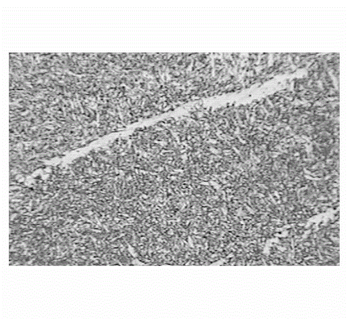 Automatic five-wire submerged arc welding method for thick-wall welded pipes