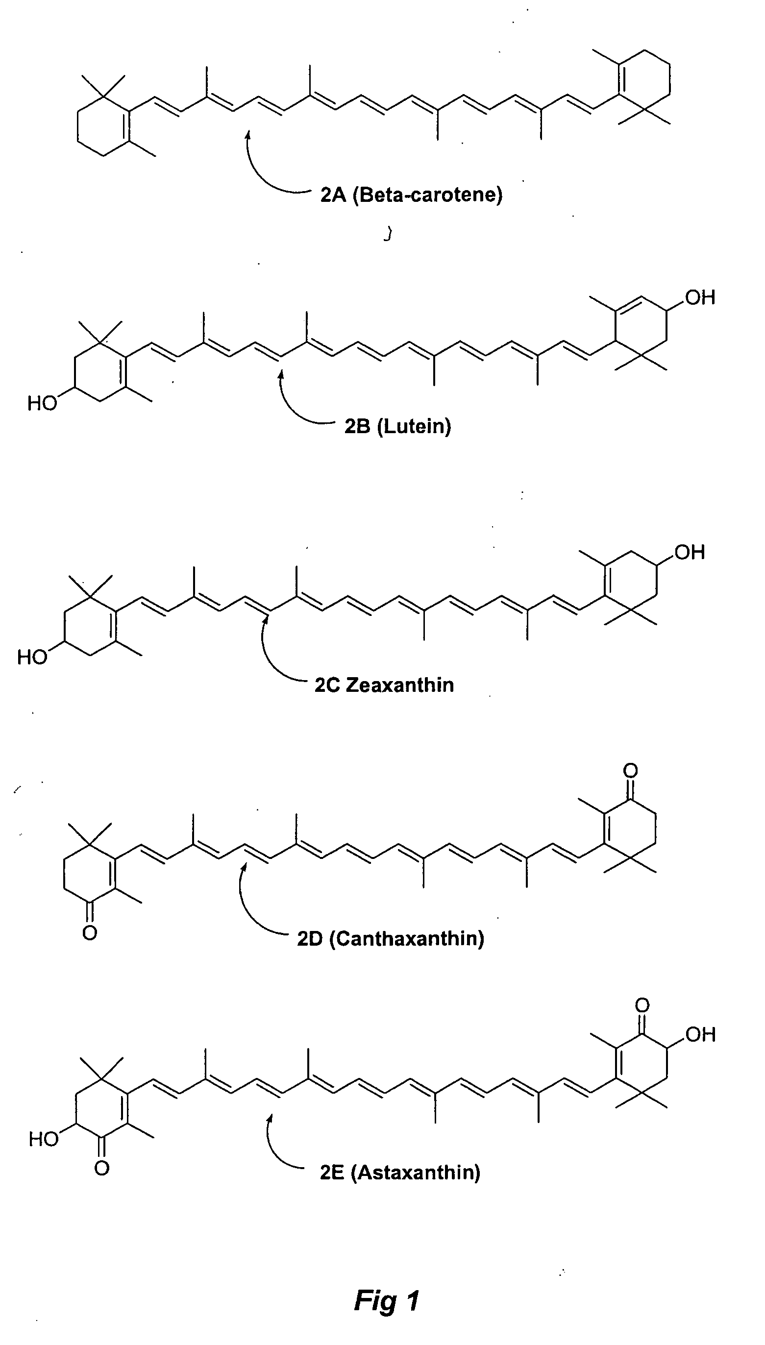 Methods for the synthesis of astaxanthin