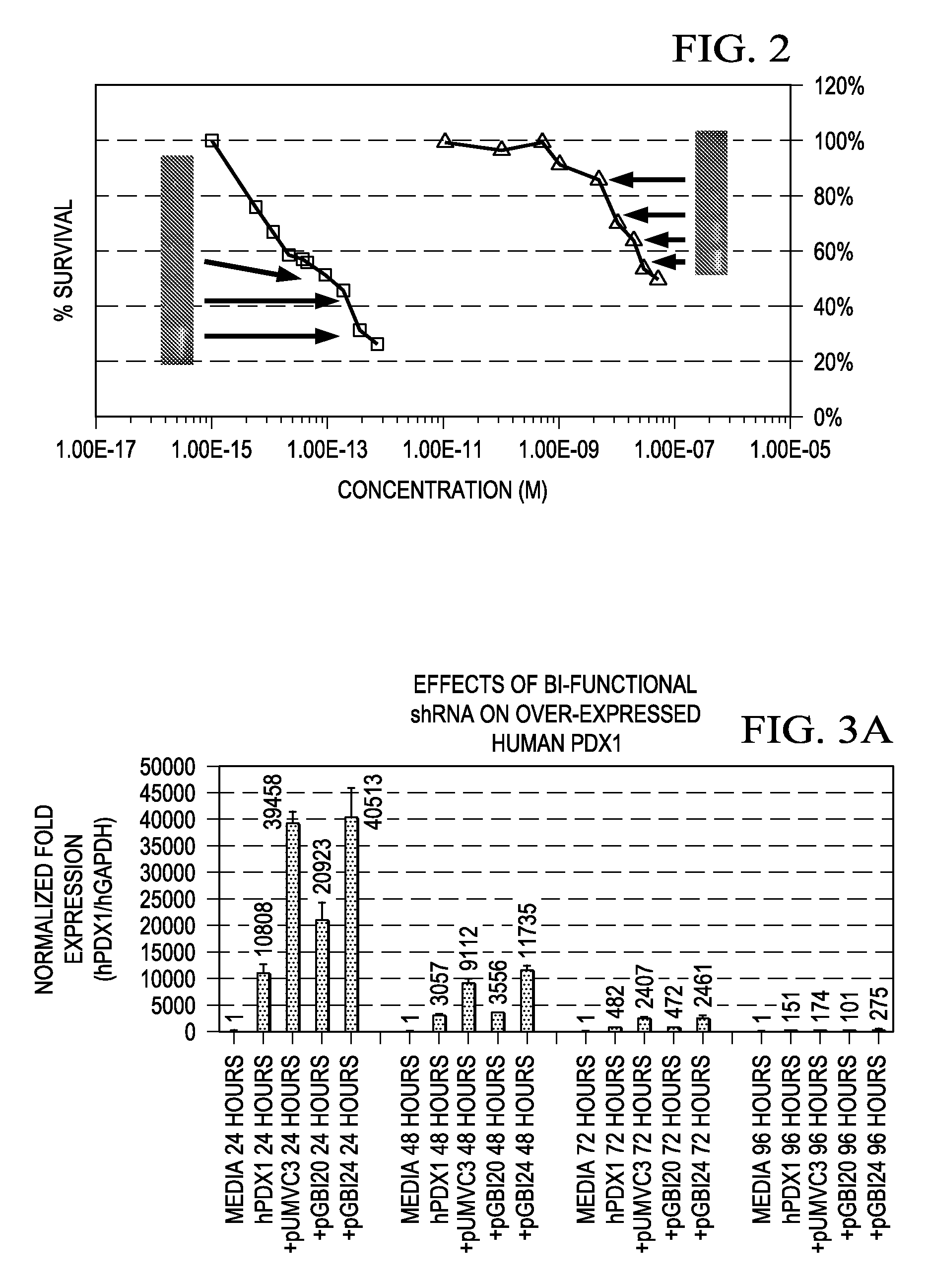 Novel Therapeutic RNA Interference Technology Targeted to the PDX-1 Oncogene in PDX-1 Expressing Neuroendocrine Tumors