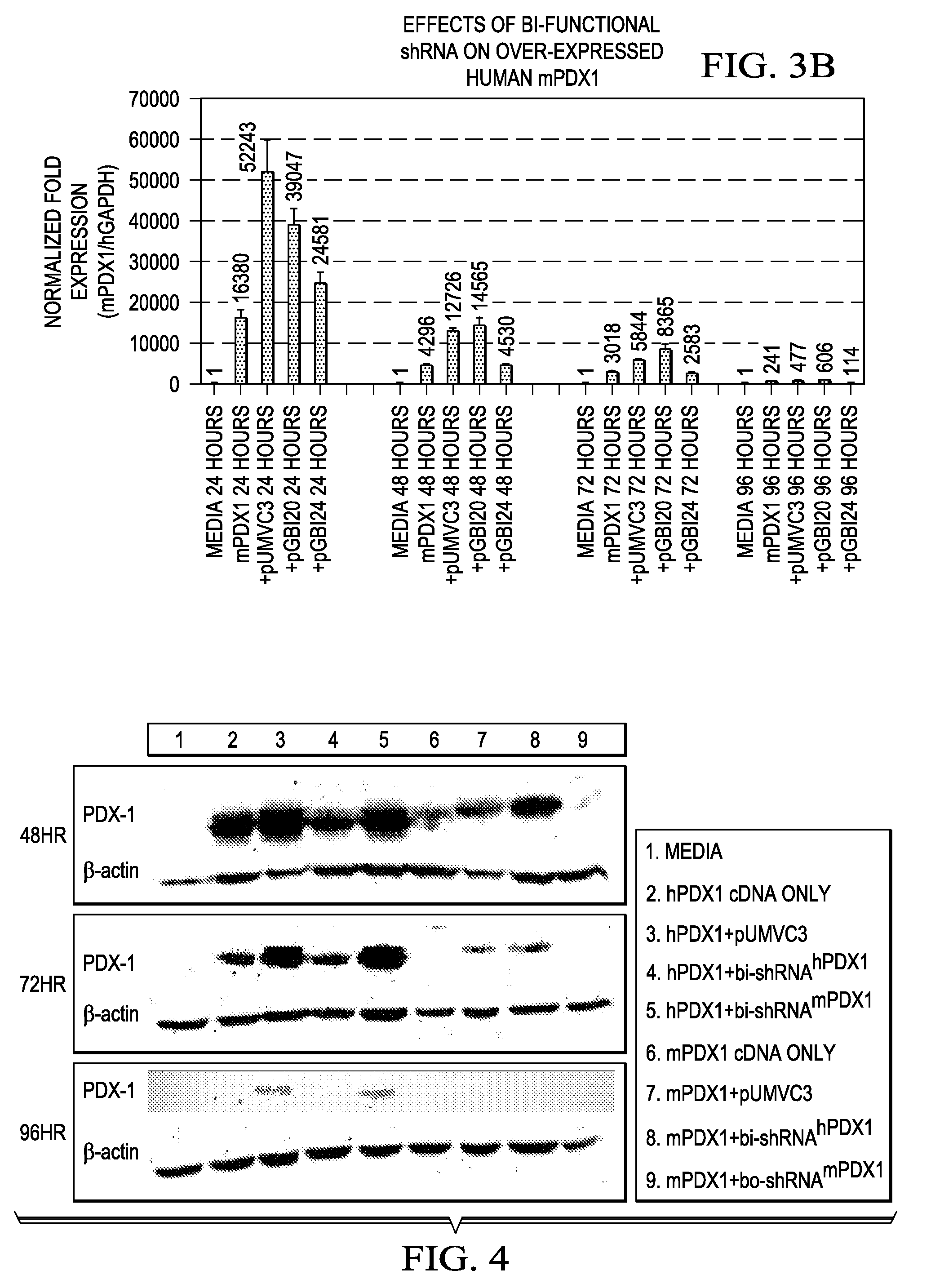 Novel Therapeutic RNA Interference Technology Targeted to the PDX-1 Oncogene in PDX-1 Expressing Neuroendocrine Tumors