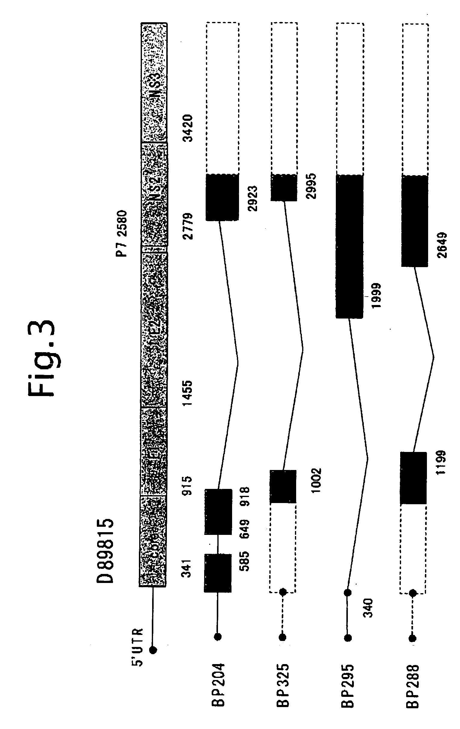 Hcv rna having novel sequence