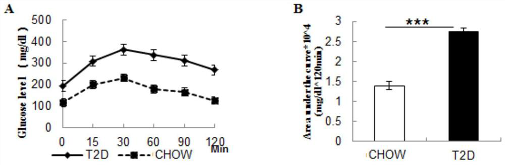 Repairing agent for promoting wound healing of type 2 diabetes