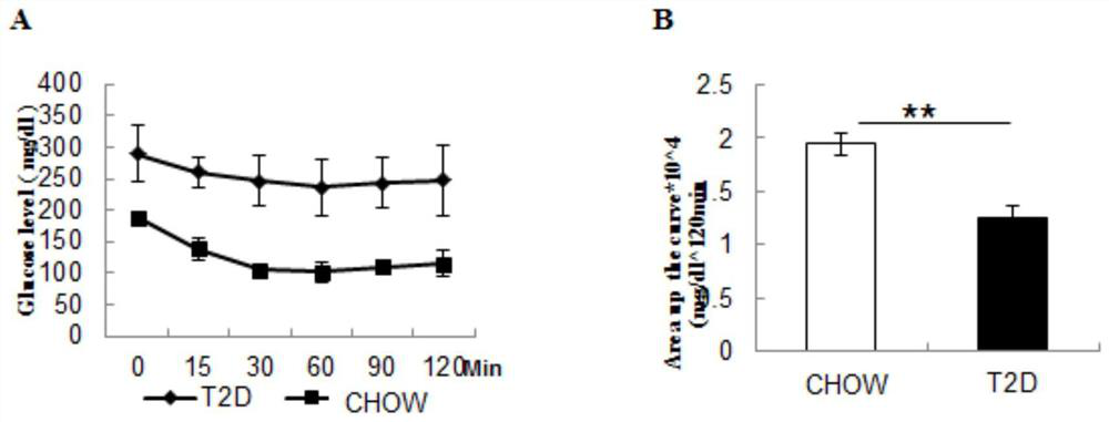 Repairing agent for promoting wound healing of type 2 diabetes