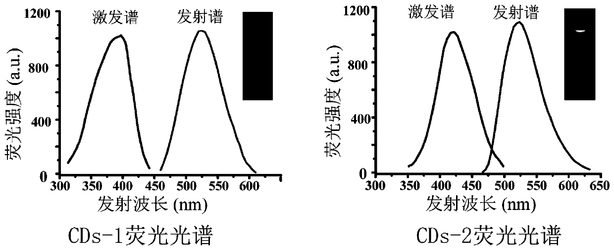 Fluorescence immunoassay method based on carbon quantum dots