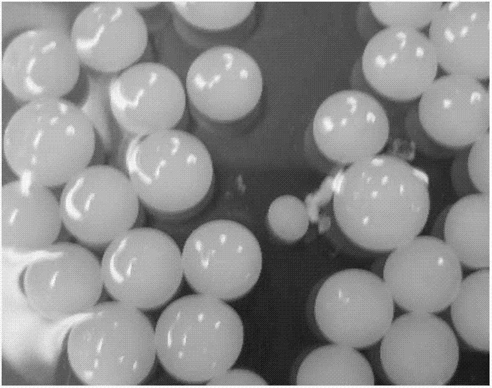 Method for preparing bacterial cellulose gel composite material