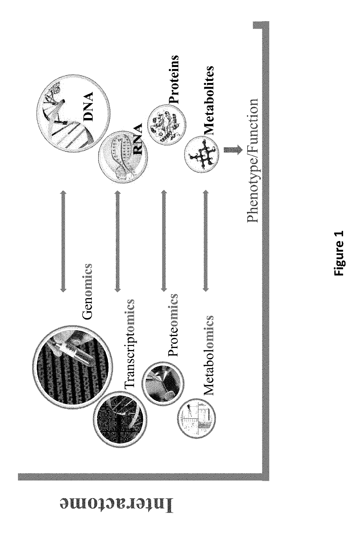 Compositions and methods for diagnosis and treatment of pervasive developmental disorder