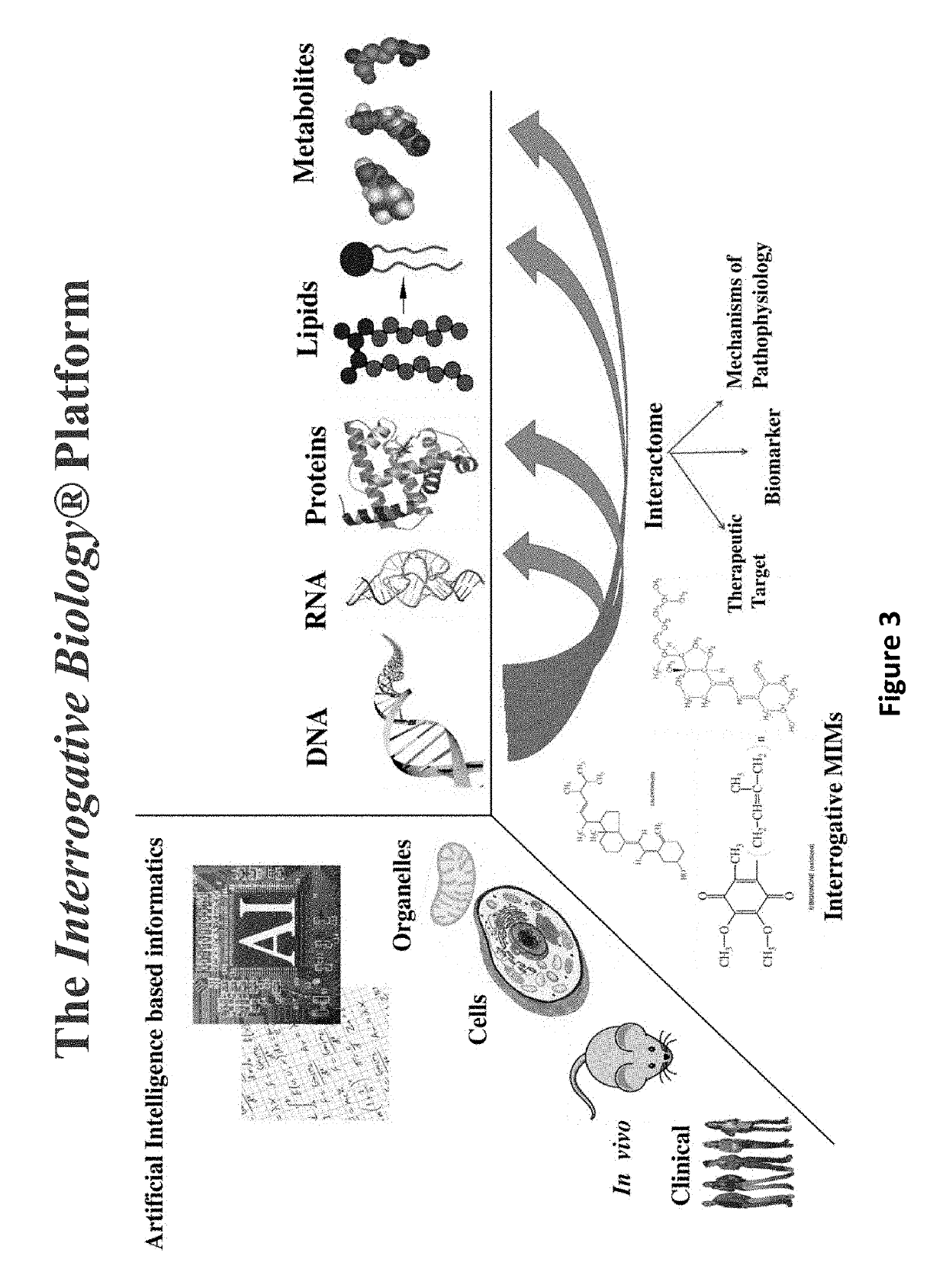 Compositions and methods for diagnosis and treatment of pervasive developmental disorder