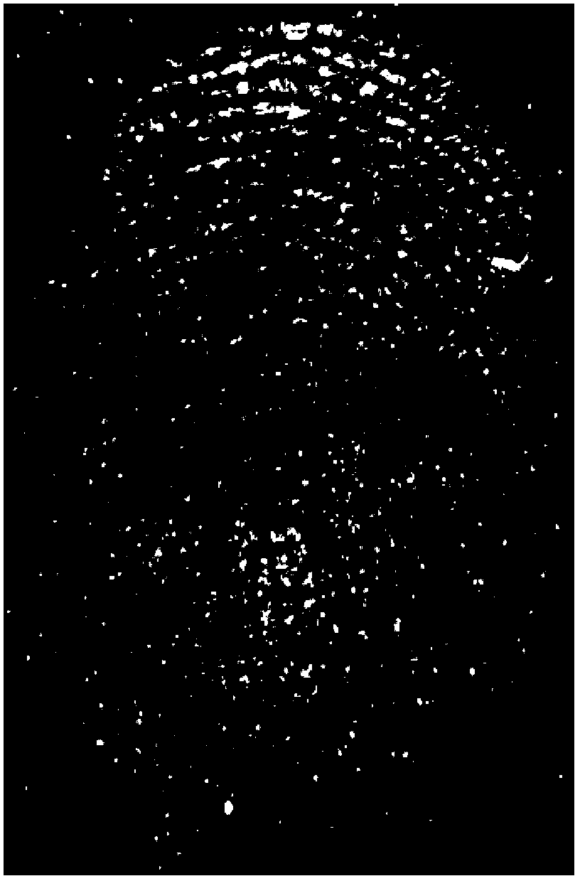 Application of perylene derivative