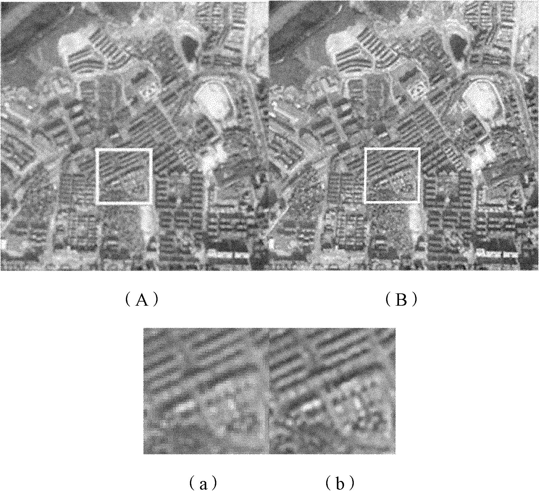 Remote sensing image upsampling method based on POCS (projections onto convex sets) and complex wavelet packet field