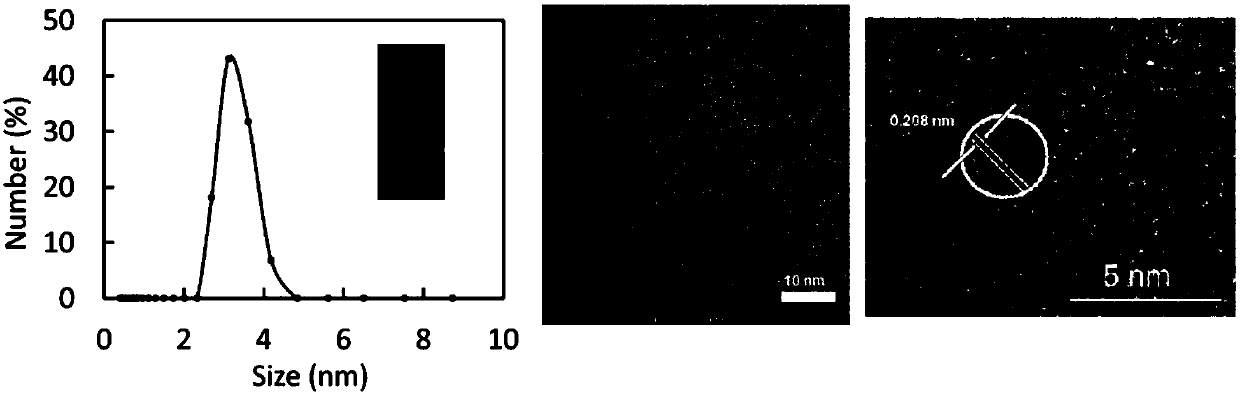 Tumor microenvironment response nanoparticle based on peptides dendrimer modified fluorescence carbon dots and preparation method of tumor microenvironment response nanoparticle