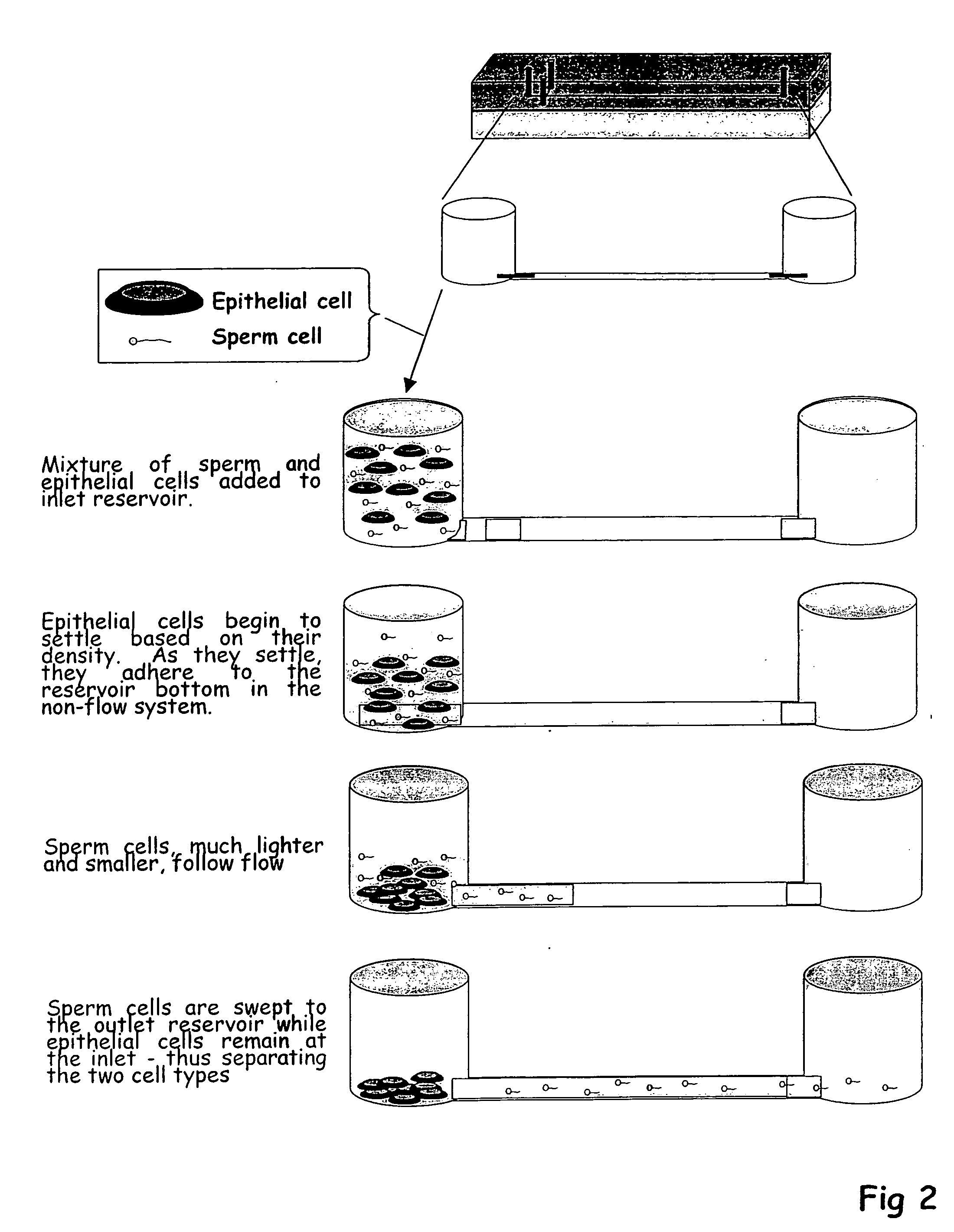 Isolation of sperm cells from other biological materials using microfabricated devices and related methods thereof